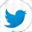 Twitter Icon